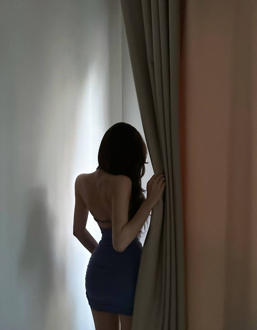 叶子 🍃 配图