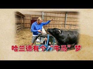 韩国女主播极品(体育足球百家乐) 配图
