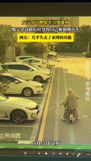 简中互联网废物们 配图