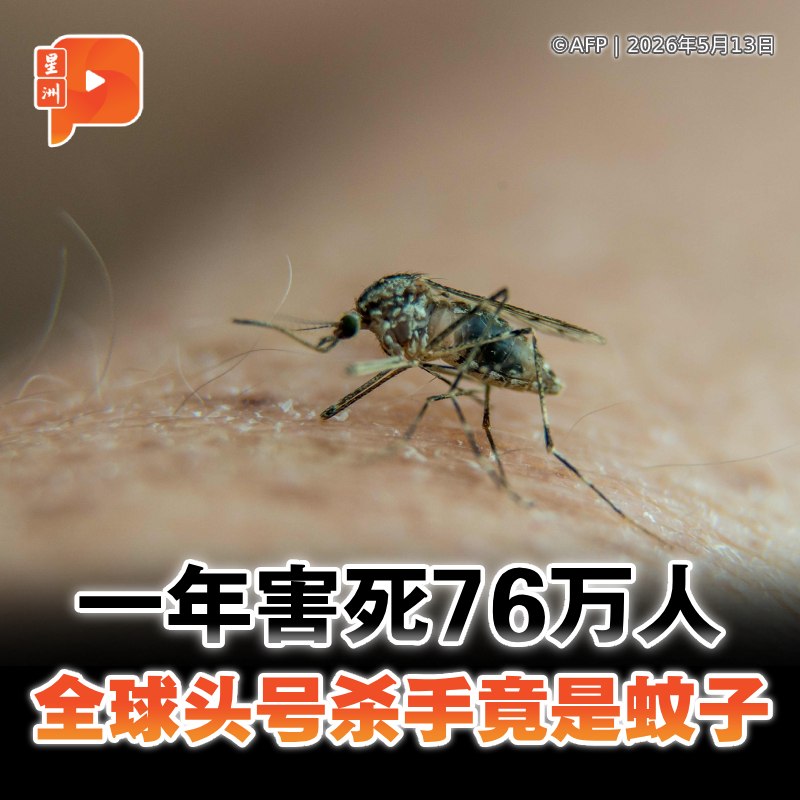 百格Pocketimes 配图