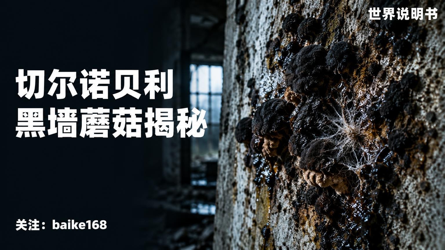世界说明书|百科知识库 配图