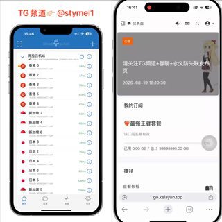 Stymei全网综合分享 配图