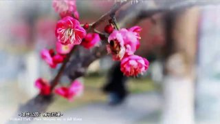 融媒广昌 配图