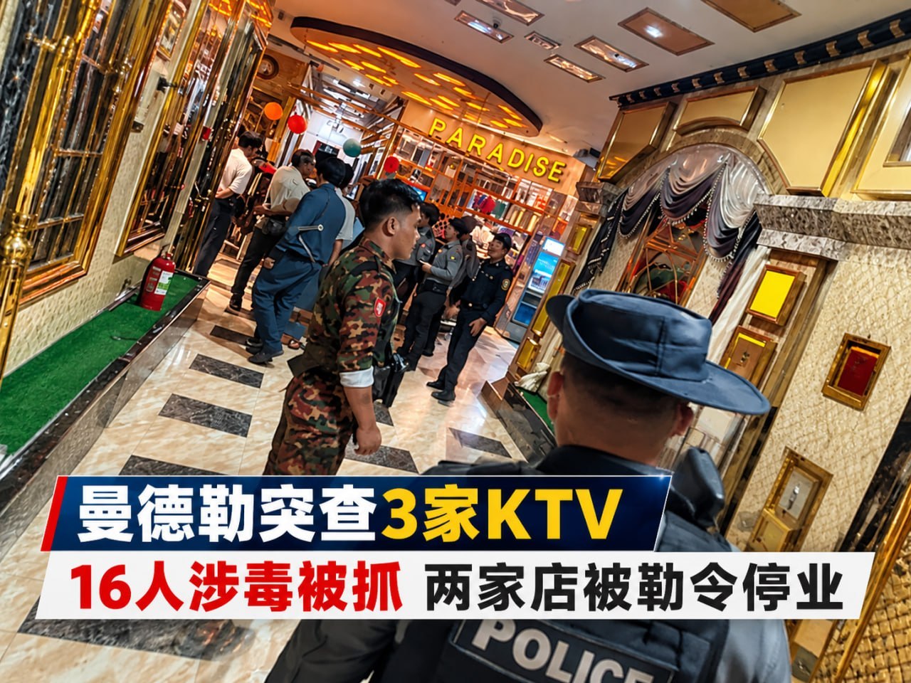 dnydh 配图