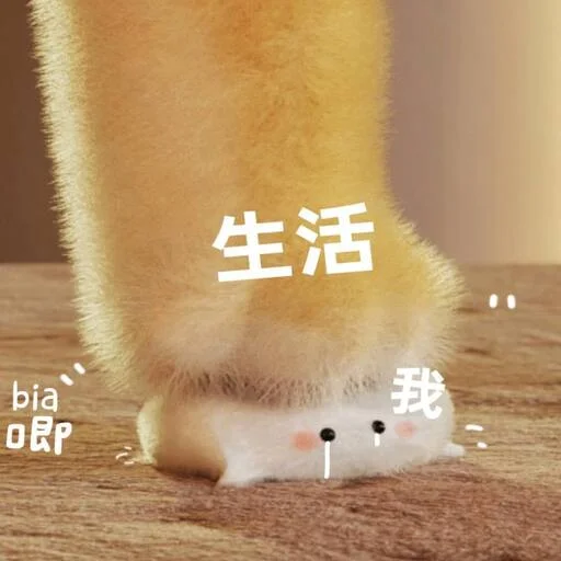 全球新闻聊天群 配图