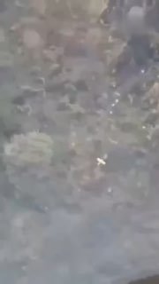 吃瓜热点 配图
