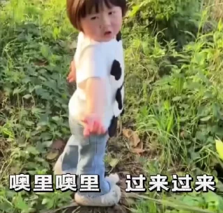 东南亚华人交流群 配图