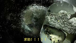 简中互联网废物们 配图