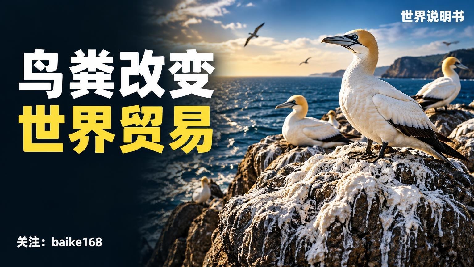 世界说明书|百科知识库 配图