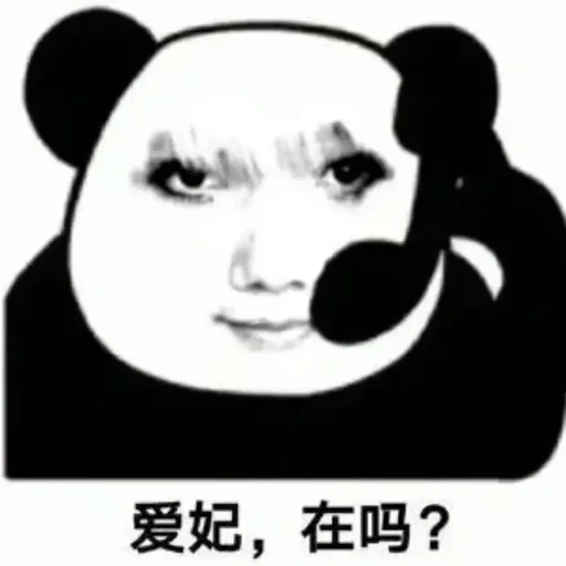 HostYun 闲聊群(不售后) 配图
