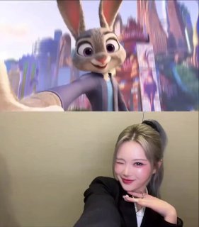 fox/4 语U 配图