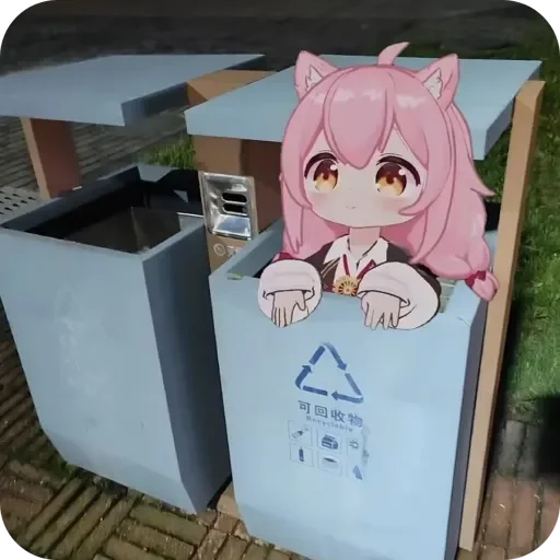Kitty Network 配图