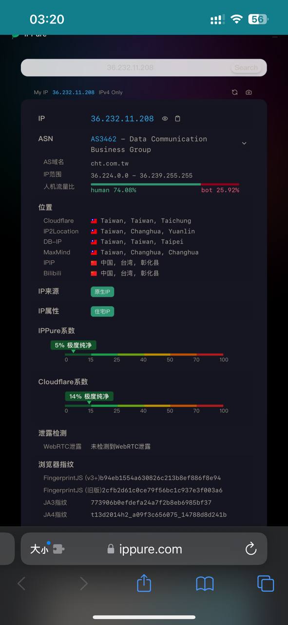 Kitty Network 配图