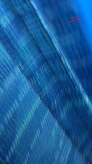 🔞PALPIS |日系 |露出 |恋物 🔞 配图
