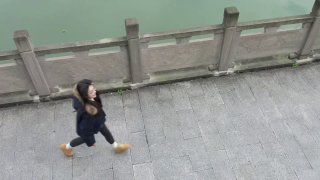 马里奥小屋 配图