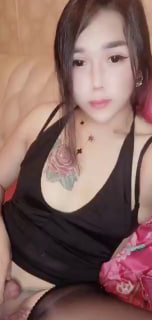 伪娘雌堕催眠乐园 配图
