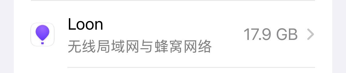 Loon-0x00 配图