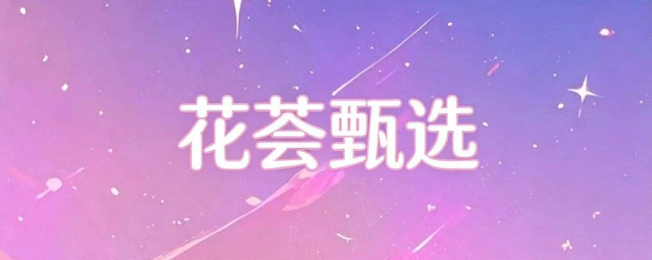深圳花荟群 配图