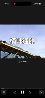 晚夜微雨问海棠 配图