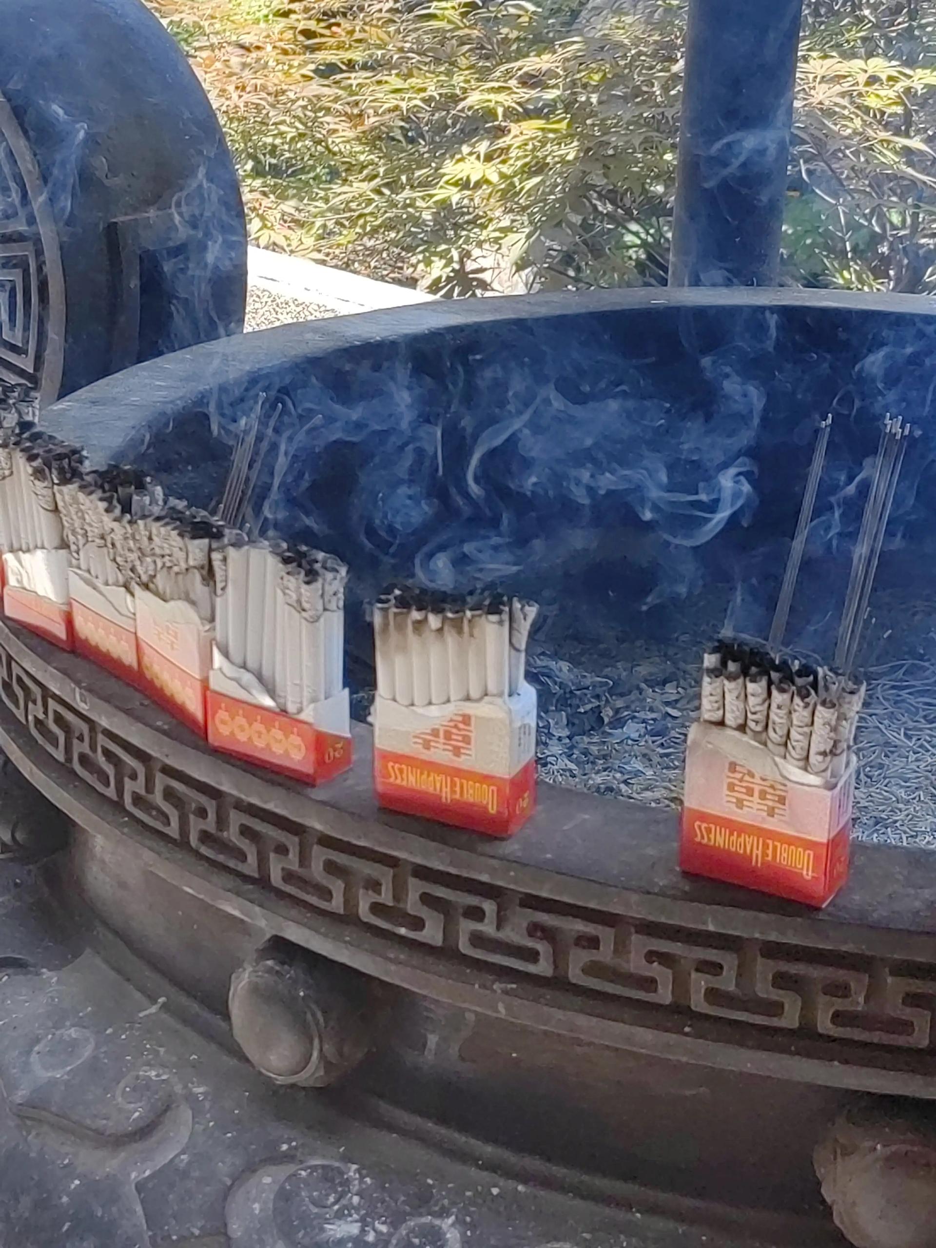 简中互联网废物们 配图