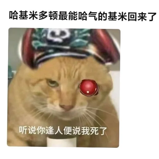 『西安狼友出击之路』 配图