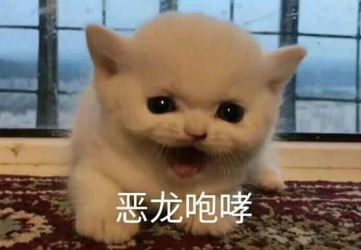 正规群 _(:3 」∠)_ 配图