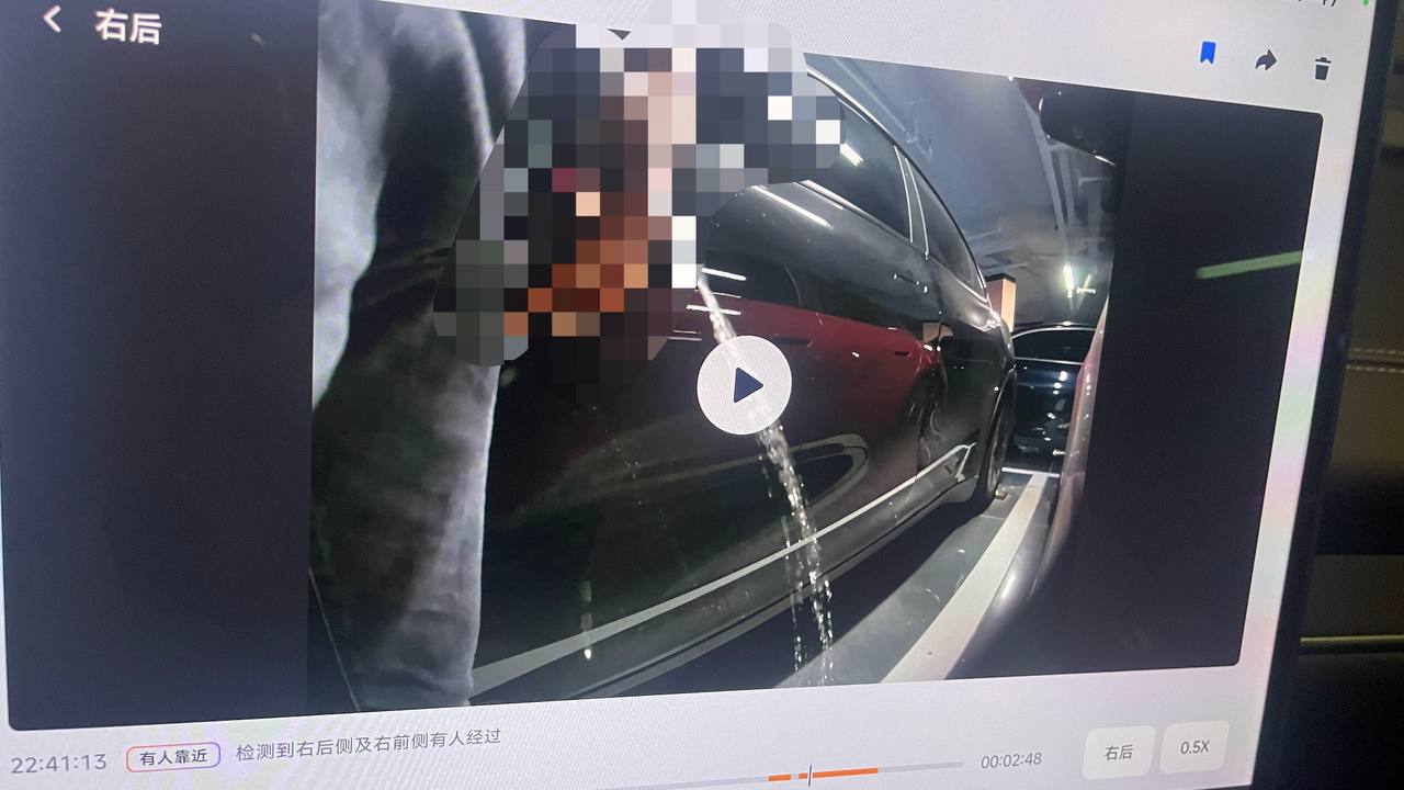 吃瓜群众12316猎奇新闻视频 配图