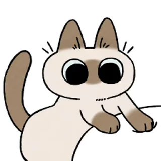 YT.NET 群组 配图