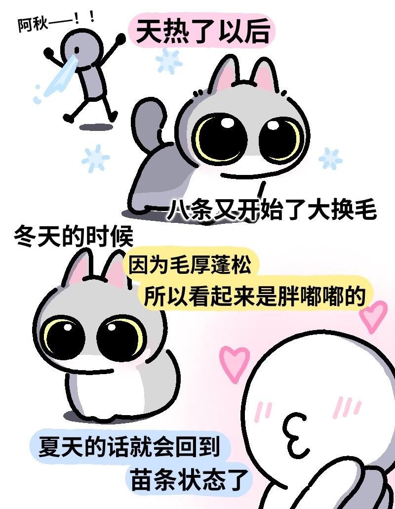 Re:4从一开始的鸭鸭频道 配图