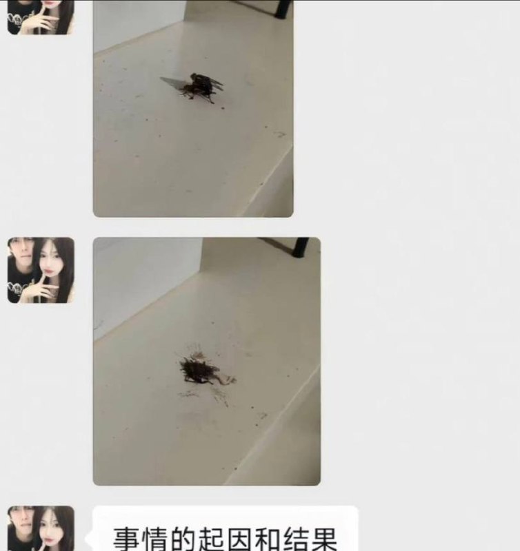 吃瓜热点 配图