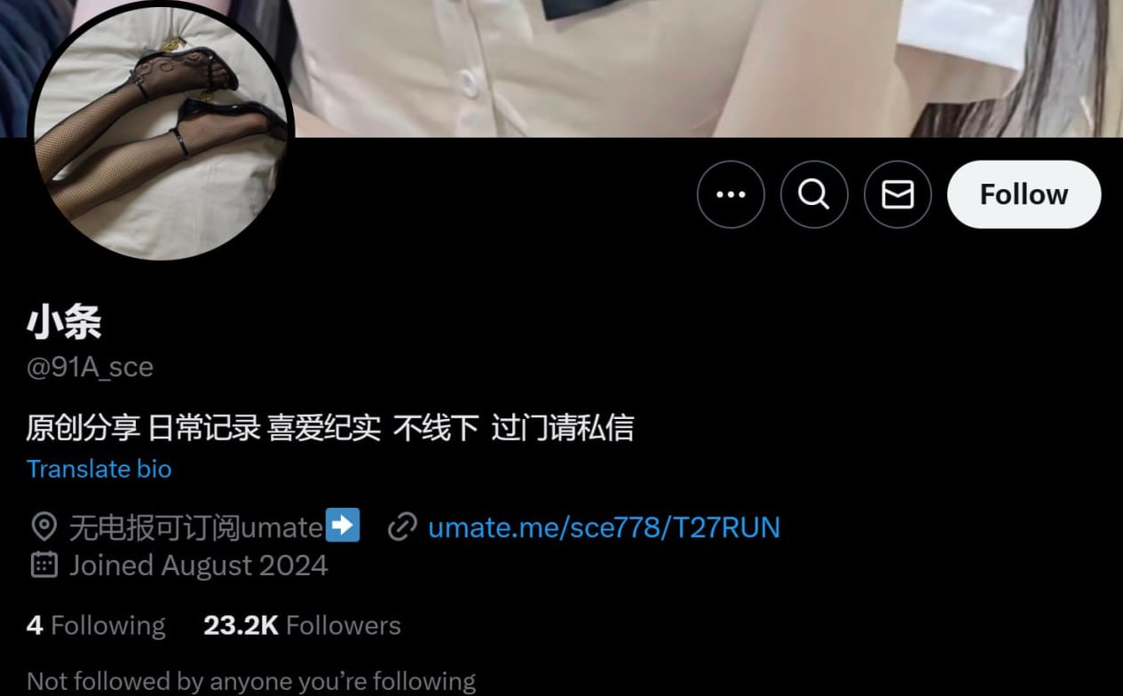 电子榨菜福利姬目录丨中转防丢失 配图