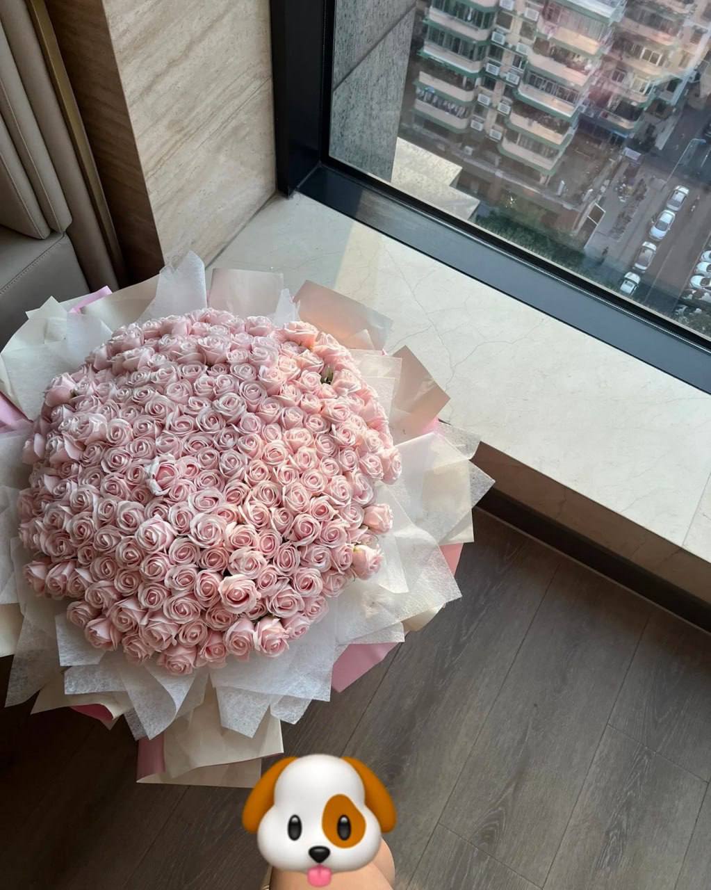 天空不设限 配图