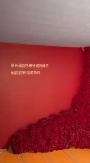 斯里兰卡商家合集 配图