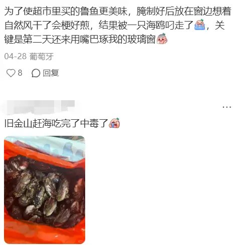 简中互联网废物们 配图