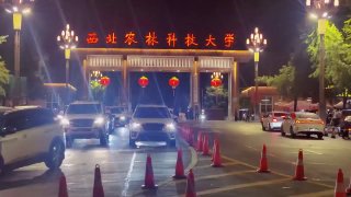 吃瓜|网红|黑料 配图