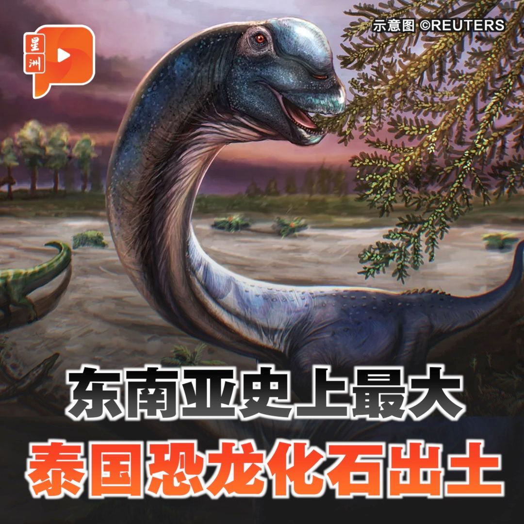 百格Pocketimes 配图