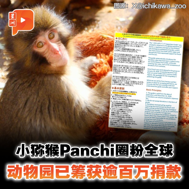 百格Pocketimes 配图