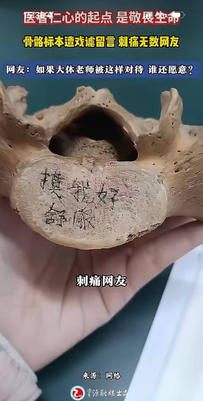 好自为之吧 配图