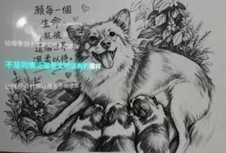 小画家诗诗的频道 配图
