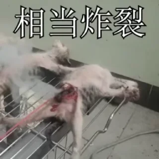 好自为之吧 配图