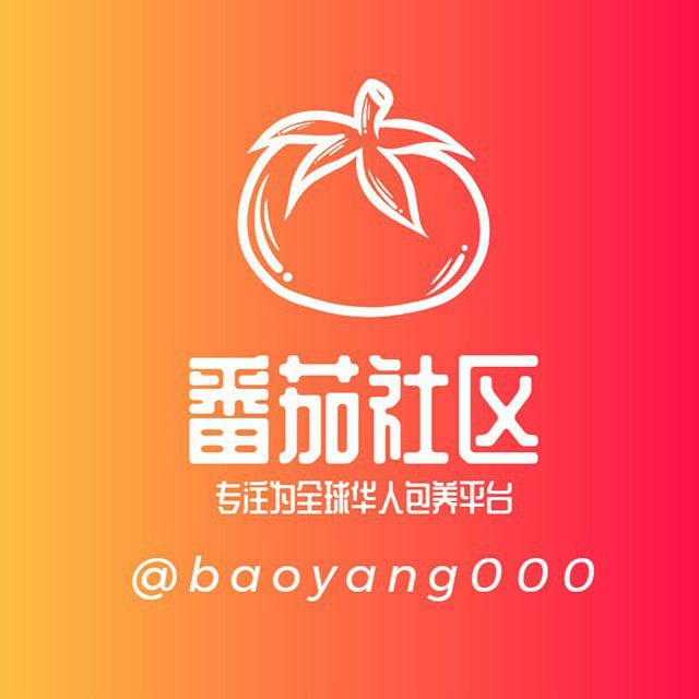 新手必看(流程)-番茄社区 配图