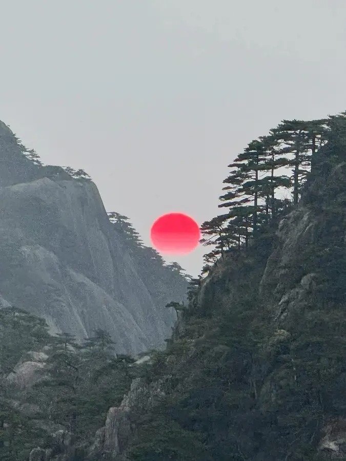 fine 配图