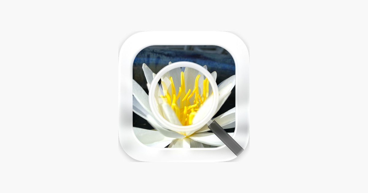 折腾App探索|推荐·频道 配图