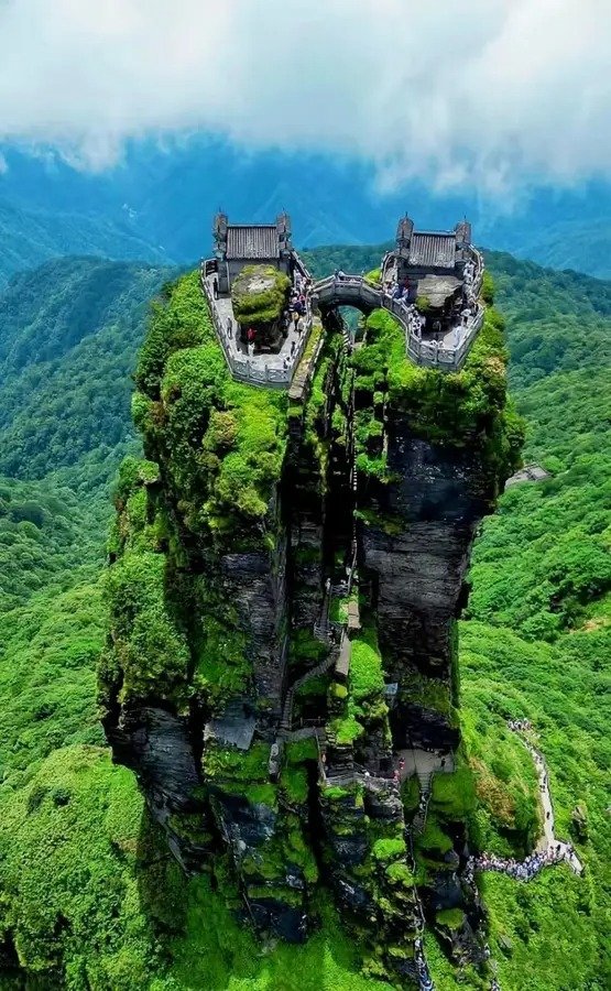 fine 配图
