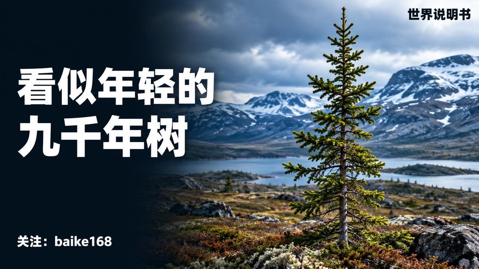 世界说明书|百科知识库 配图