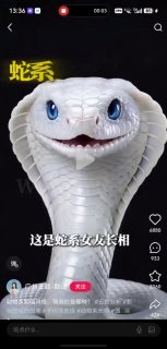 Mi哥大讲堂(杭州、上海) 配图