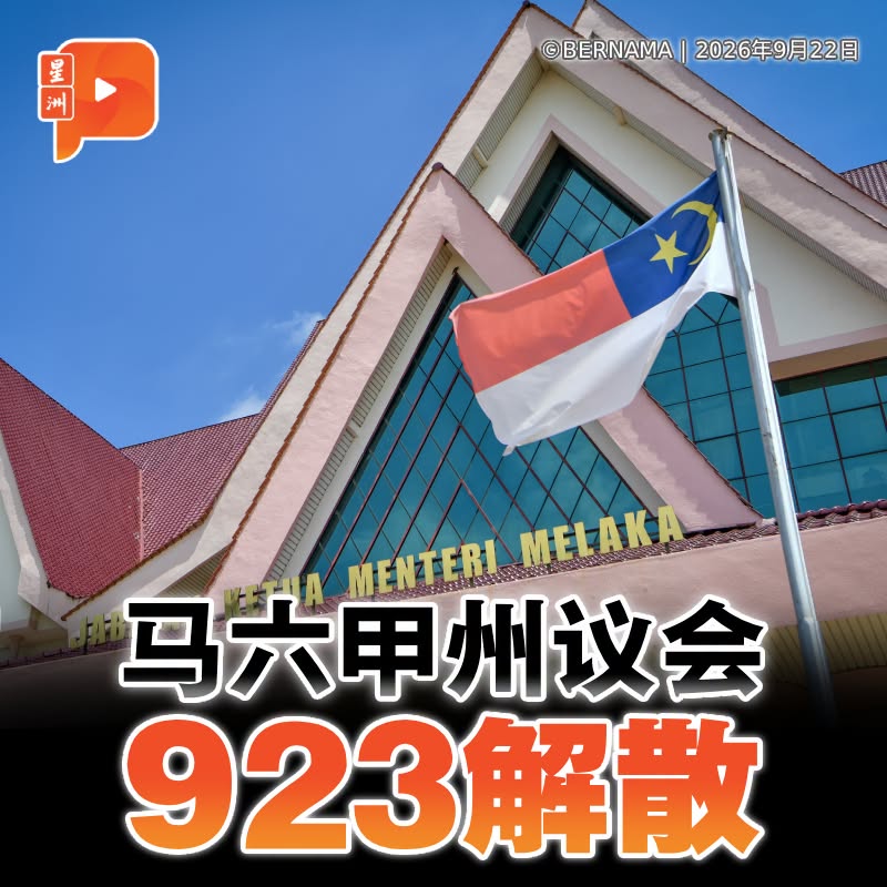 百格Pocketimes 配图