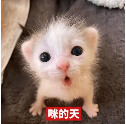 🌸 𝑿𝒊𝒖𝒆𝒓の软件分享𝑮𝒓𝒐𝒖𝒑 配图