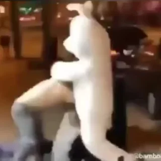 🌸 𝑿𝒊𝒖𝒆𝒓の软件分享𝑮𝒓𝒐𝒖𝒑 配图