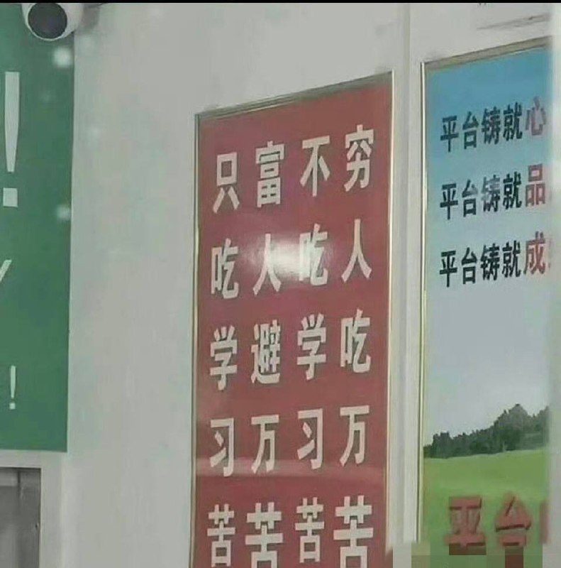 今天你想跑路了吗？？ 配图